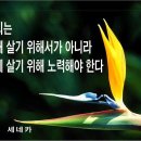 고철.비철시세(전국시세)10월14일 이미지