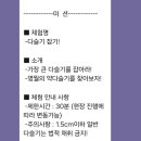 2024 자연인 가족캠프 in 영월 MBN 생생정보마당 방송 촬영