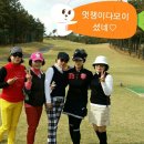 충성대CC 이미지