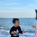 브라운도트호텔정자해수욕장점 이미지