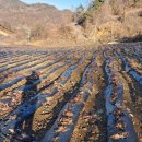 덕산면049 이미지