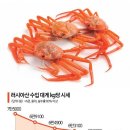 "연말에 대게 파티?"…킹크랩 이어 대게 가격도 '반토막' 이미지