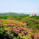 충북 단양 소백산철쭉제 다누리아쿠아리움 등 6월축제 가볼만한곳 이미지