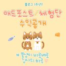 [공지] [1주년★수입공개] 애드포스트/체험단/협찬 (수익,당첨꿀팁)