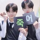잇도라이크