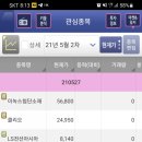 리포트요약 210527