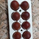 충남농어민신문 감사합니다 이미지