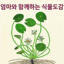 우리 국토, 우리 꽃 작품 전시회 이미지