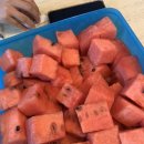 지현이네집 이미지