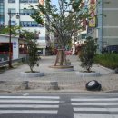 중앙로72번길 이미지