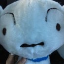 흰둥이네 인형뽑기 이미지