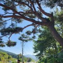 이마트24 강촌힐스점 이미지