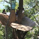 둥지식당 이미지