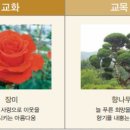 서해삼육초등학교 이미지