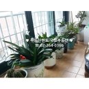 건일공인중개사사무소 이미지