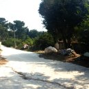 큰소낭 작은돌집 이미지