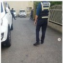 고양이 자리 이미지