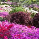 홍천시티투어 이미지