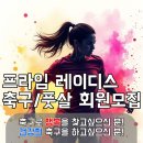 에코실외구장 이미지