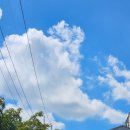 새희망한약국 이미지