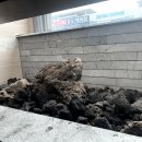 엑스포 한증막 이미지