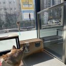 김민성 동물병원 이미지