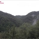 곡성-242 이미지