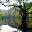 (주)아침여행사 이미지