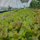 거북선숯불풍천장어 이미지