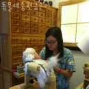 동물제중원금손이 동물병원 이미지