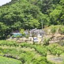 곡성-259 이미지