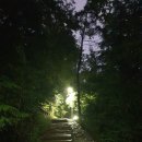 비타민나무의원 이미지