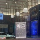 비빔밥과 덮밥 | 분당야탑 봄동비빔밥, 전라도식육회덮밥 솔직후기