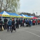 미나리와 삼겹살