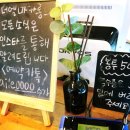 더엘마카롱 이미지