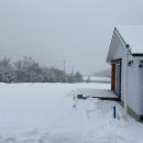 보르도애플스테이 이미지