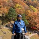 봉화군 종합관광안내소 | [봉화] 청량산 청량사 등산하기, 가을 단풍 산행하기 좋은 곳