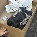 공릉역길 네이버블로그
