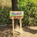 조동리선사유적박물관 네이버블로그