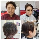 도봉-쌍문-도봉-1129 이미지