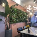 퍼스트레시피(1st Recipe) 이미지