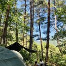 인제캠핑타운 | 인제캠핑타운 강원도 캠핑장 사이트 명당 자세한 정리