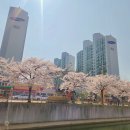 사우근린공원 화장실 이미지