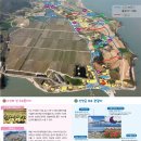 매화도보건진료소 | 전남 가고 싶은 섬, 섬 전체가 수선화 꽃밭인 신안 선도 수선화 축제 (압해도 가룡항 배 시간표, 여객...