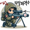 디자인피알아이
