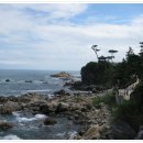 낙산의상대 이미지