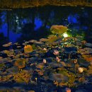 미추홀공원(다례원 내) 이미지