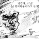 안경나라 안경원 이미지