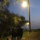 조아서 - 진도군 쌍정2길 33 | 조아서