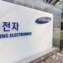 DS무역 이미지